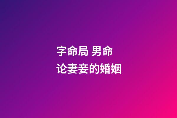 字命局 男命论妻妾的婚姻